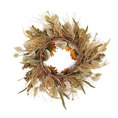image for YNYLCHMX 18