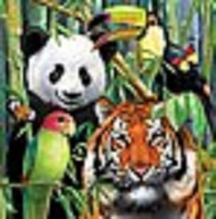 Wild Life Beverage Napkins