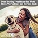 Dear Darling DD-06 Luxus Hundebett Katzenbett Braun Anthrazit Memoryschaum Matratze Katzenkörbchen Hundekörbchen Haustierbedarf Tierbedarf Tierbett (S)