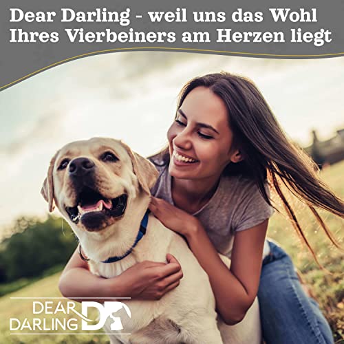 Dear Darling DD-06 Luxus Hundebett Katzenbett Braun Anthrazit Memoryschaum Matratze Katzenkörbchen Hundekörbchen Haustierbedarf Tierbedarf Tierbett (S)