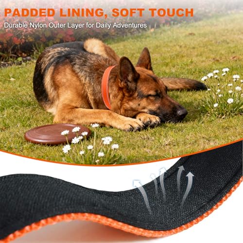 Image of Taglory Reflective Large Dog Collar, Comfort for Safe Night Walks, Orange