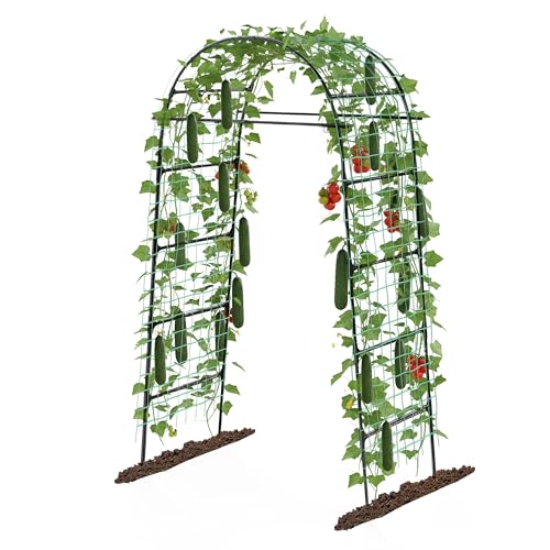 Garden Arch Trellis for Climbing Plants, 82 Inch Tall Grape