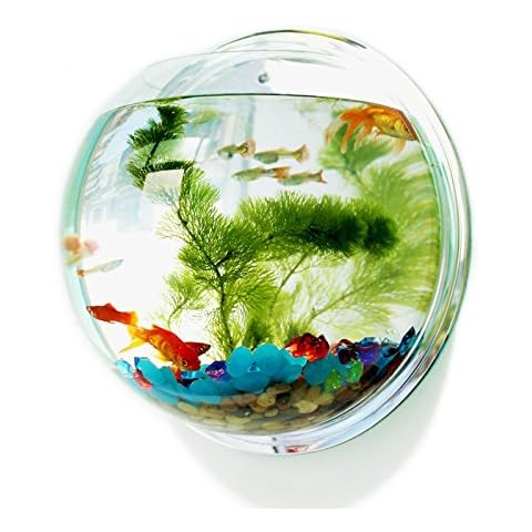 Pinsjar 11.6 Inch Wall Mounted Fish Tank Cover