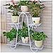 Kundi 6 Tier Plant Stands for Indoors and Outdoors