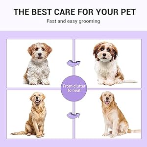 MIU COLOR Pet Grooming Brush, 2 Sided Undercoat Rake for Dogs & Cats, Professional Deshedding Brush and Dematting Tool, Effective Removing Knots, Mats, Tangles for Cats, Dogs, Extra Wide (Purple)