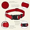 Country Brook Petz - Everyday Nylon Dog Collar for Large, Medium, and Small Dogs and Puppies - for Everyday Use in 10+ Warm Colors (Large, 1 Inch Wide, Red) #5