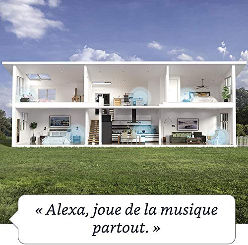 51SgSXzbjvL Nouvel Echo Dot (4e génération), Enceinte connectée avec Alexa