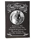 Pokal Center Westerheider