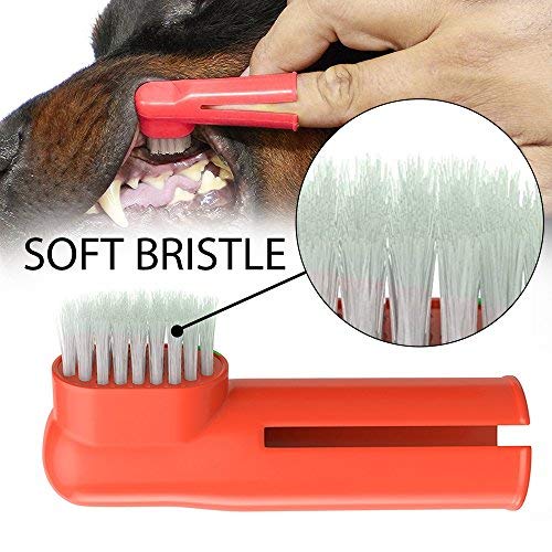 Western Era Pets Cleaning Dental Toothbrush Set of 3 with 1 Double Headed Toothbrush, 2 Finger Toothbrush All Breed Cats, Dogs and Puppies (Color May Vary) 3