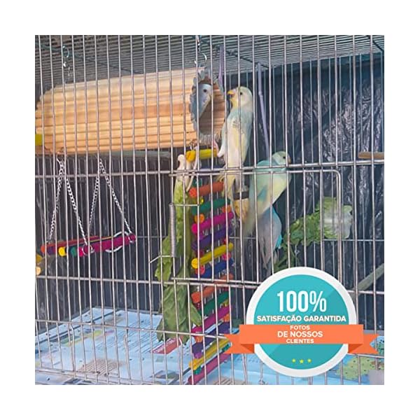 Golden Pets Brinquedo Playground Twister Hamster Calopsita Periquito - Imagem 7