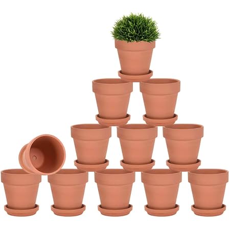 3 Inch Terracotta Potsnull