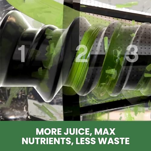 Image of Omega Cold Press Juicer Machine, All-in-One Nutrition System for Vegetable and Fruit Juice, Nut Butter, Baby Food, Pasta and Sorbets, Triple-Stage 80-RPM Slow Masticating Juicer, 200-Watts, Black