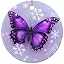 Butterfly 18