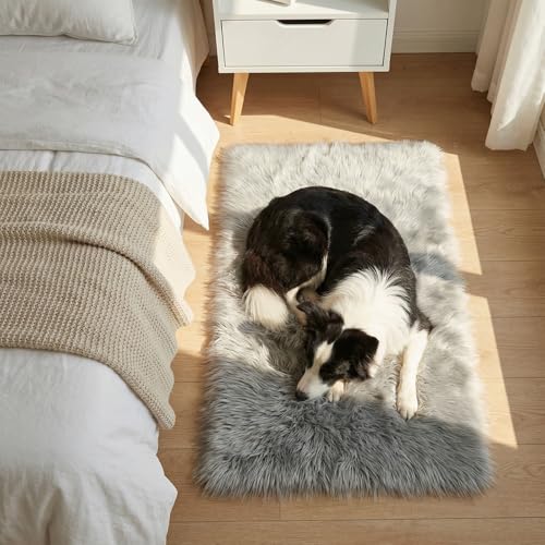 Mishukaze Rugs Living Room, Runner Rug for Bedroom, Washable Anti Slip Fluffy Rug Shaggy Soft Modern Floor Carpets Mat Beside Rugs for Kids Hallway Living Room (Gris, 60 x 90)