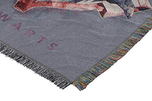 Northwest Woven Tapestry Throw Blanket, 48" x 60", Houses Together, Multicolor, 48 x 60 Inches - Image 3