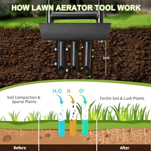 HYCHIKA Lawn Aerator, Hollow Tine Aerator with 3 Hollow Tine, Soil Column Collection Box, T-Handle, Manual Garden Lawn Core Aerator Tool, Grass Spikes for Soils and Lawn Care 2 HYCHIKA Lawn Aerator, Hollow Tine Aerator with 3 Hollow Tine, Soil Column Collection Box, T-Handle, Manual Garden Lawn Core Aerator Tool, Grass Spikes for Soils and Lawn Care - Image 2