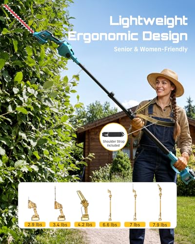 Seesii P6 Bonu Cordless Pole Chainsaw Review