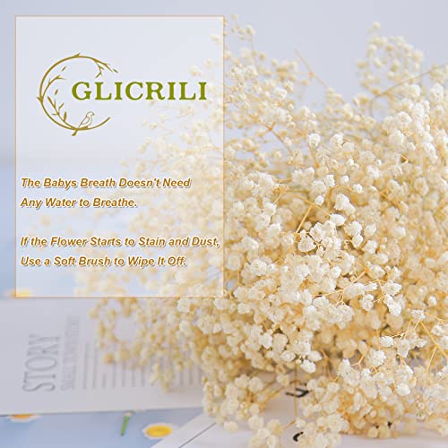 Dried-Babys-Breath-Flowers-Bouquet-17 Inch 2500+ Ivory White Flowers, Natural Gypsophila Branches For Wedding, Diy Home Party Decor, Table Vase Decor For Parents, Friend, Children (3Oz) #TOP1