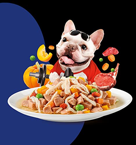 PETS-EMPIRE-Moochie-Wet-Dog-Food-Grain-Free-Gavy-Meal-Fit-and-Firm-with-Lamb-Carrot-Green-Pea-and-Pumpkin-High-Protein-Dogs-Gravy-Foods-Non-Veg-Pet-Meals-for-Dogs-Puppy-85g-X-12