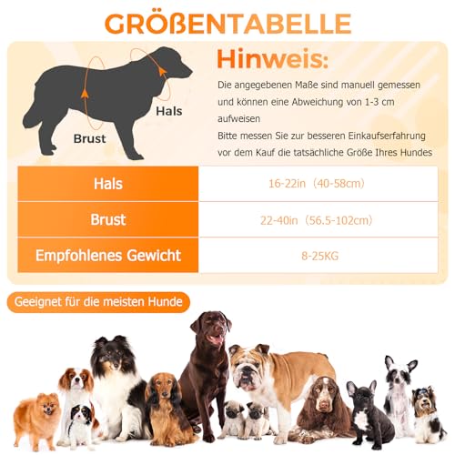 LED Hundegeschirr Leuchtend - Bequemes Leuchtgeschirr für Hunde, 7 Farben & Blinkmodi - USB-C Aufladbar, 11h Laufzeit - Für Mittelgroße Hunde 8-25kg