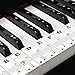 Keyboard Aufkleber,Klavier Aufkleber für 49/54/61/88 Tasten ,Keyboard Noten Aufkleber für Schwarz,Weiß Tasten,mit Farbige Großbuchstaben, Transparent und Abnehmbar