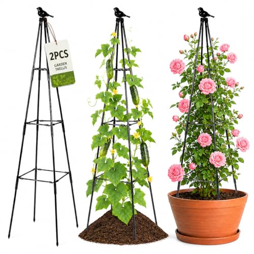 Treillis d'obélisque noir de 170 cm pour plantes grimpantes de jardin