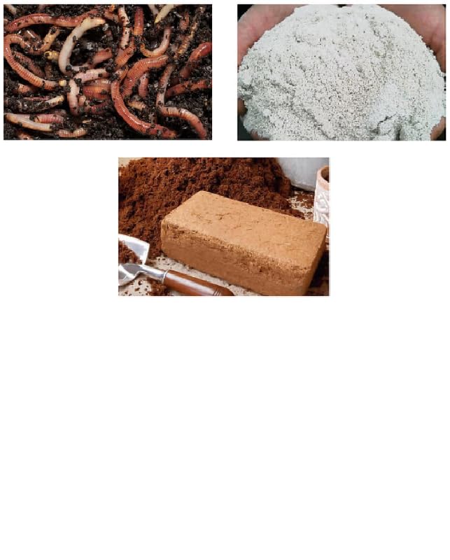 Original Organics Basic Wormery Starter Kit