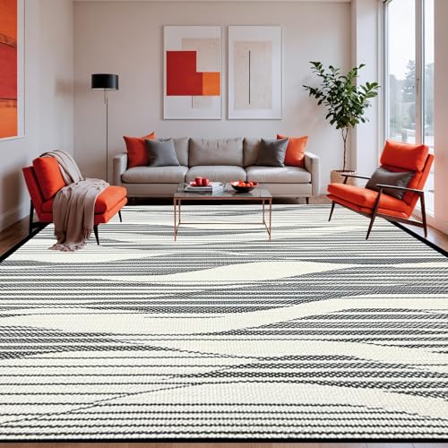 ODIKA Flatwoven High Traffic Area Rug 3x5, Contemporary Black &