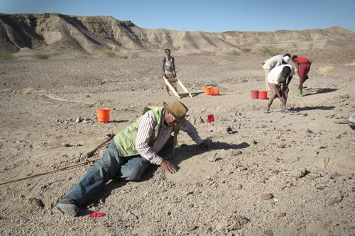UNLV paleoanthropologist and colleagues discover new human ancestor species
