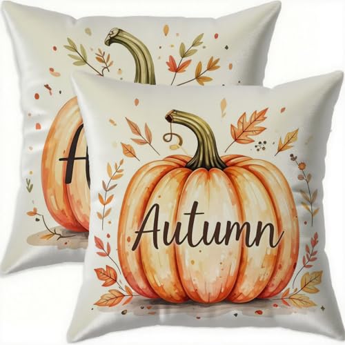 Housse Coussin 60x60cm Velours Citrouille Taie Oreiller Imperméable Canapé Décor A883
