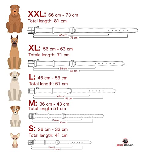 Brute Strength Hundehalsband aus Leder - Schwarz mit schwarzen Nähten - XXL - 66-73 cm