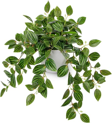 Villa Como tFCNO[ CeA O[ lHϗtA  A  GAvc Vzj JXj VN NX}X ItBX X 