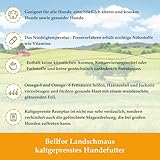 Bellfor Futterset für Dobermann – Getreidefreies Trockenfutter mit Huhn 4 kg, Dental Sticks 100 g & Ergänzungsfuttermittel Shiimun Skin Pulver 50 g