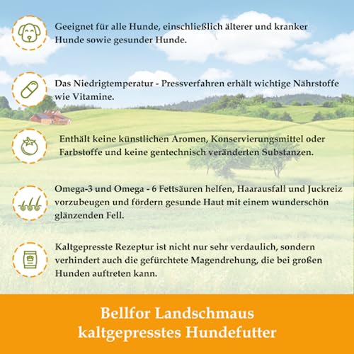 Bellfor Futterset für Dobermann – Getreidefreies Trockenfutter mit Huhn 4 kg, Dental Sticks 100 g & Ergänzungsfuttermittel Shiimun Skin Pulver 50 g