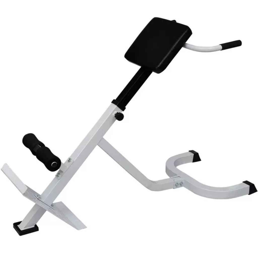 ShGaxin Banco de Ejercicios de lumbares, Rack Musculación, Banco Abdominales, Banco De Pesas Musculacion, Gimnasio En Casa, Banco Gimnasio, Banco Press Banca