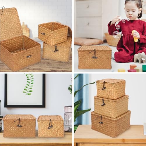 Boîtes de rangement multifonctions en rotin naturel pour objets divers - 6