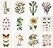 Vintage Wall Décor Botanical Art Prints (Nature 12 Set)