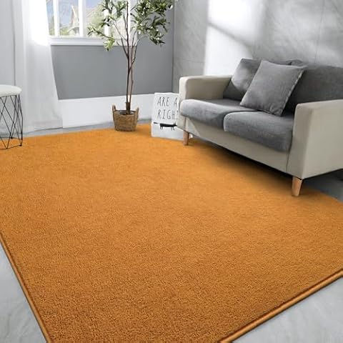 Hutha Large Area Rugs for Bedroom Living Room, 5x8 Orange Solid Fluffy Super Soft Memory-Foam Furry Bedside Carpets, Modern Indoor Floor Rug Aesthetic Minimalist Rug for Kids Girls Boys Home Decor Cover