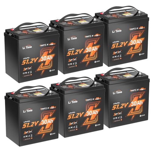 LiTime 48V 180Ah GC2 LiFePO4 Battery with Bluetooth & BMS