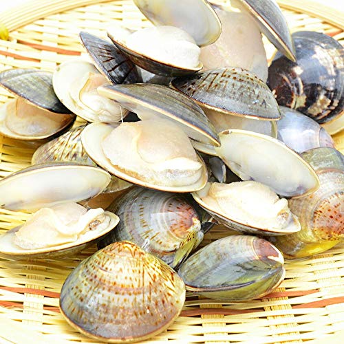 zn̉l ͂܂ 2kg (500g×4pbN) {Cn}O Nx͂܂͎|