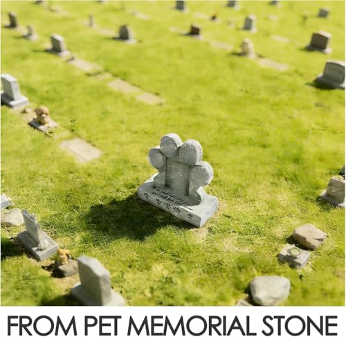 Lápida conmemorativa para superar la pérdida de tu mascota en el hogar 4