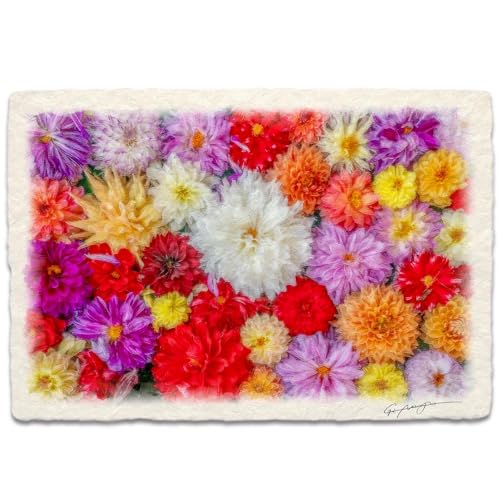  G G  CeA A[gpl i  Ǌ| åGʐ^ uʂ̃_Ả  v  plt 36x24cm H Ԃ̊G Natural Memories