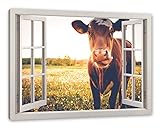 Pixxprint Kuh auf Butterblumenwiese, Fenster, Größe: 