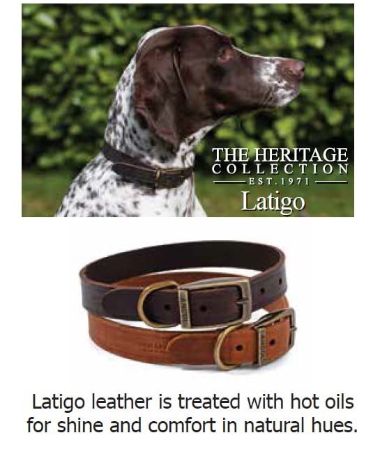 Ancol Latigo Flexibles, dehnbares Hundehalsband, Kastanienleder, Haustier-Trainingszubehör mit antikgoldenen Befestigungen, weich und belastbar, Größe 1–20–26 cm