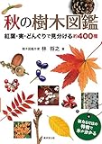 秋の樹木図鑑 紅葉・実・どんぐりで見分ける約400種