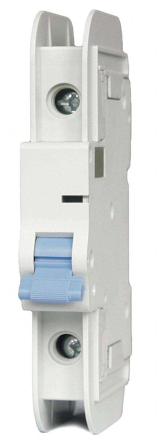 Dayton Miniature Circuit Breaker, 1 Amps, C Curve Type, Number of Poles: 1