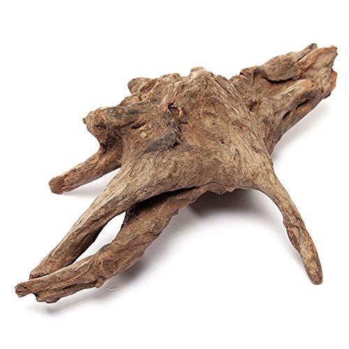 Best Aquarium Wood