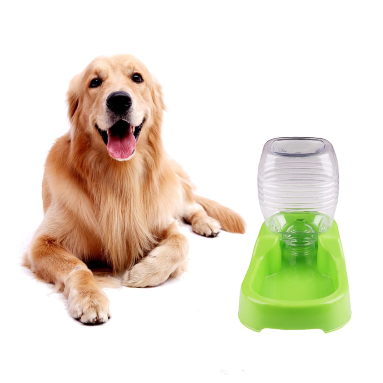 Sosoport 3pezzi Ciotola Per Animali Domestici Abbeveratoio Verde Design Unico e Antiscivolo Distributore Automatico Per Cani e Cuccioli Pratico e Sicuro Per Casa e Negozio Di Animali