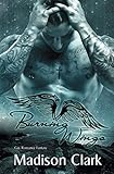 Cover zum Buch Burning Wings