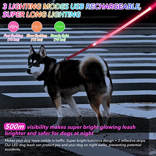 ChalkLit Led Light Up Dog Lead - Image 2